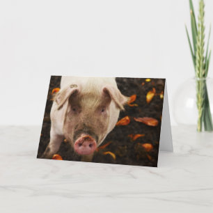 Funny Pig Custom Birthday Card