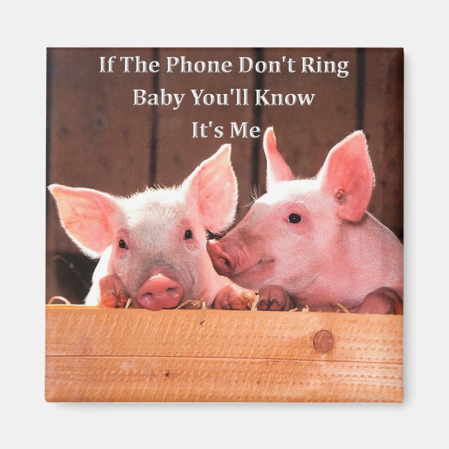 Funny Pig Memes with funny pig sayings and quotes Magnet (Front)