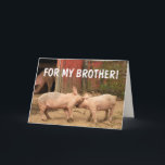 Funny Pigs FOR MY BROTHER Birthday Card<br><div class="desc">Watch out! It's a barnyard brawl! Kinda like it was growing up with your brother,  right? Make the card special with your own words and have fun! Photo ©Christine Greenspan.</div>