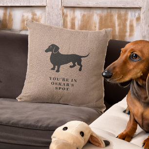 Funny Pillow Marks Dachshund's Spot on the Sofa