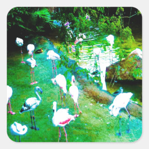 Funny Pink Flamingoes Wildlife Square Sticker
