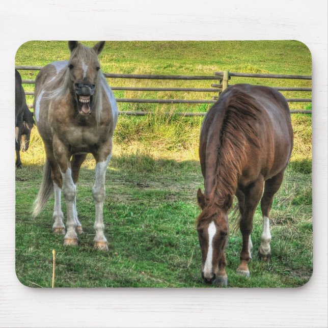Funny Pinto Stallion & Sorrel Mare Horse Friends Mouse Pad (Front)