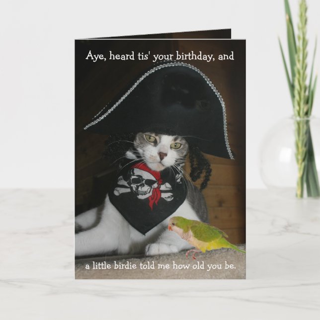 Funny Pirate Cat Card (Front)
