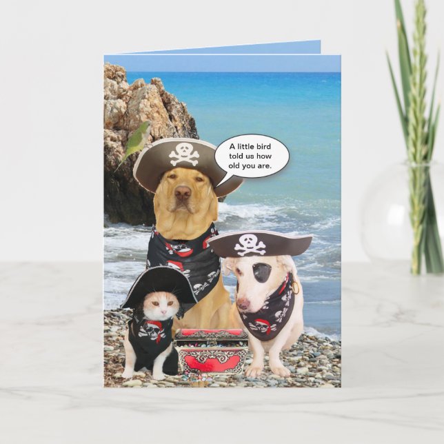 Funny Pirate Pets Birthday Card (Front)