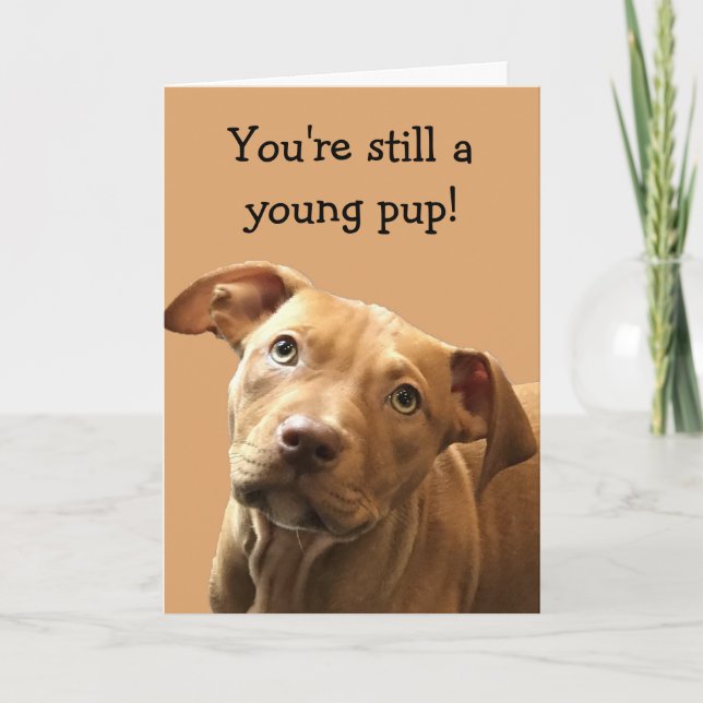 Funny Pitbull Puppy Birthday Card (Front)