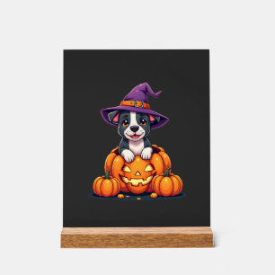 Funny Pitbull Witch Pumpkin Dog Halloween Mens Wom Acrylic Sign