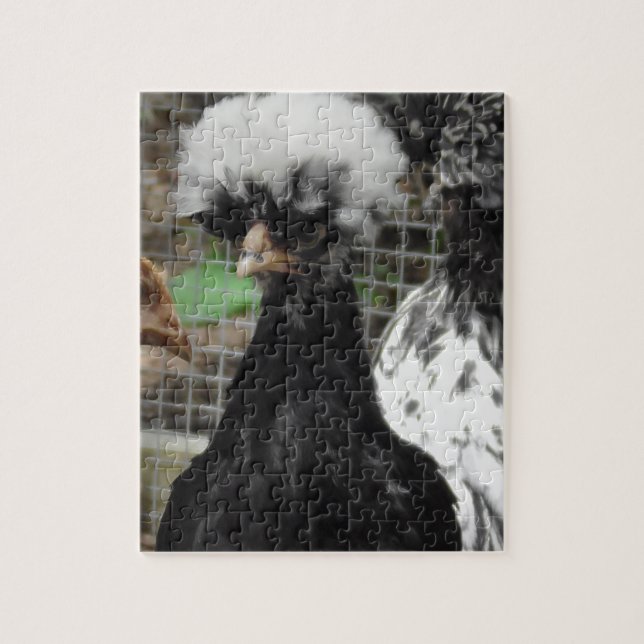 Funny Polish Chicken Close Up Photo Jigsaw Puzzle (Vertical)