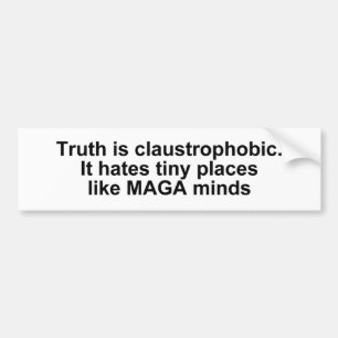 Funny political truth hates narrow minds bumper sticker