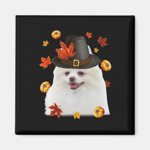 Funny Pomeranian Dog Pilgrim Hat Fall Happy Thanks Magnet