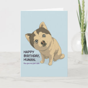 Funny Pomsky Birthday Card cute dog design