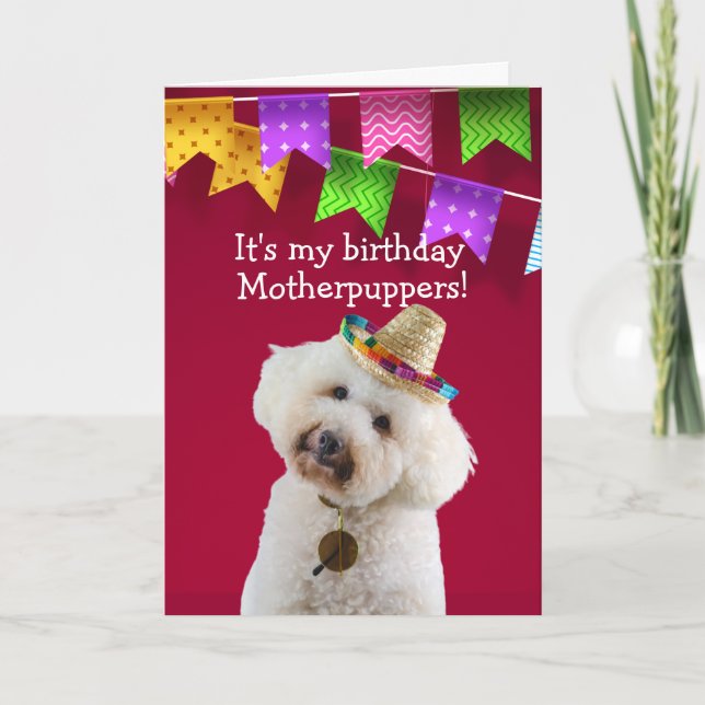 Funny Poodle dog birthday card (Front)