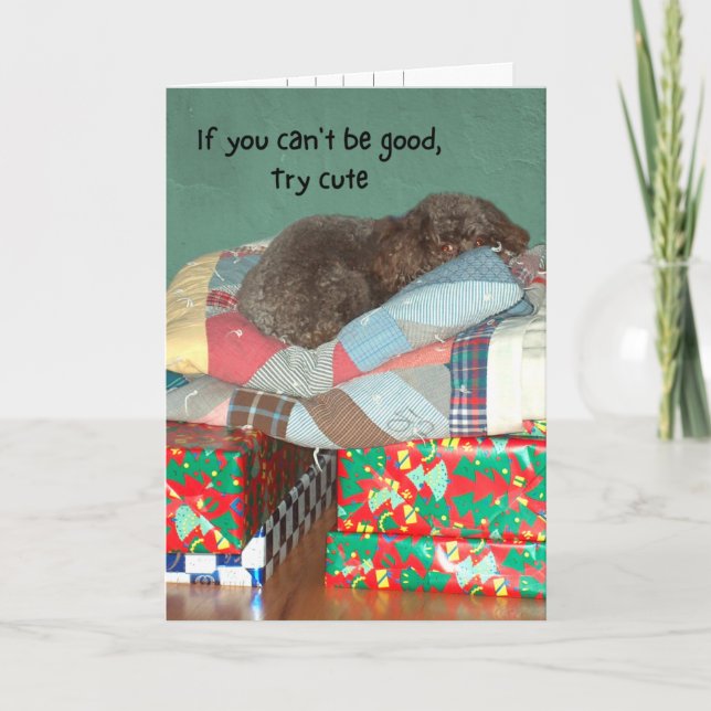 Funny Poodle on Christmas Presents Holiday Card (Front)