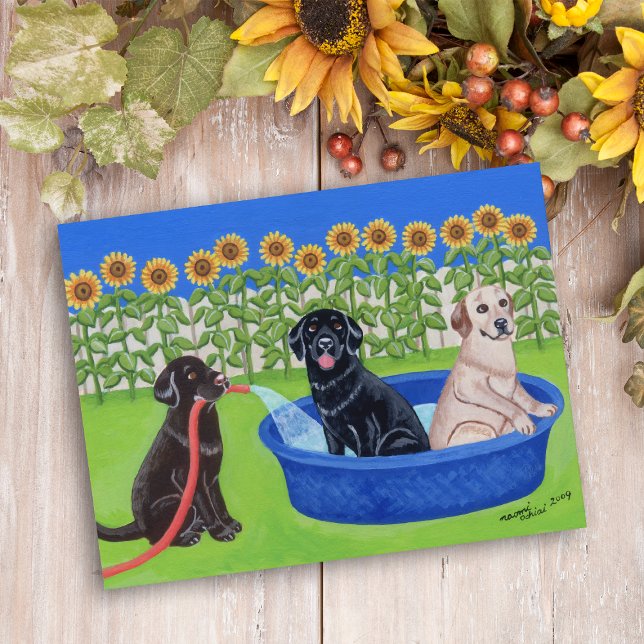 Funny Pool Party Labradors Postcard (Funny Pool Party Labradors Postcard for Labrador Owners.  Sunflowers give summer vibes.  Cute.)