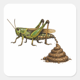 Funny Pooping Grasshopper Square Sticker