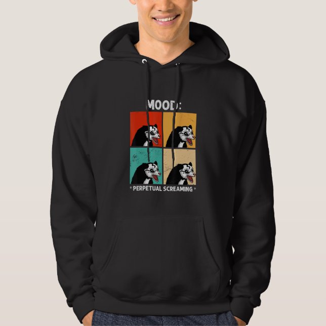 Funny Possum pet Hoodie (Front)