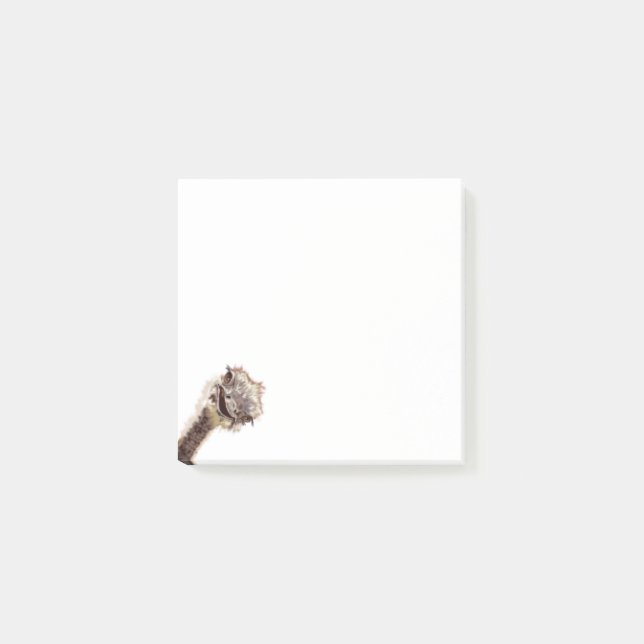 Funny Post it Notes with Happy Playful Ostrich (Front)