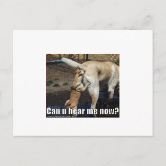 funny postcard