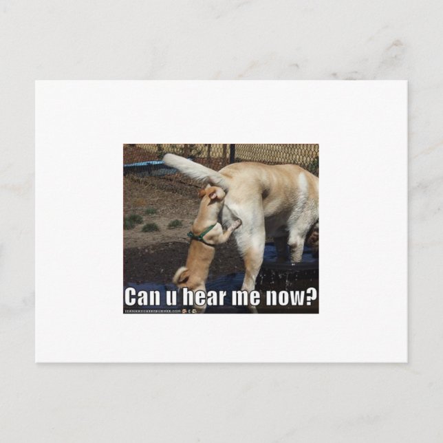 funny postcard (Front)