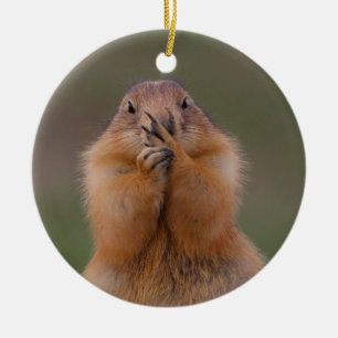funny prairie dog ceramic ornament