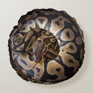 Funny Prank Python Snake Round Pillow