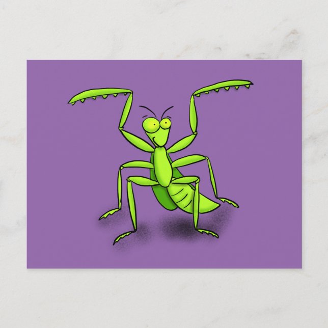 Funny praying mantis cartoon postcard (Front)