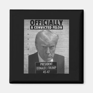 Funny President Trump Is Officially A Convicted Fe Magnet