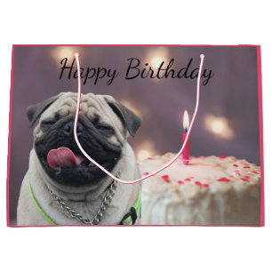 Funny pug birthday large gift bag