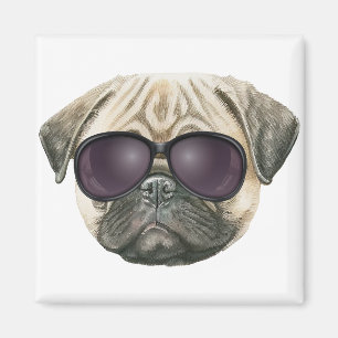Funny pug, Cute french bulldog with glasses Magnet