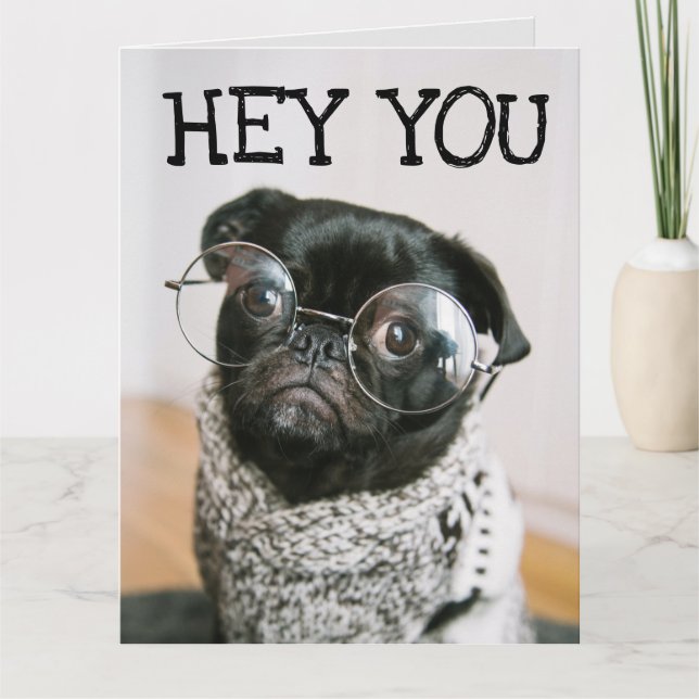 FUNNY PUG DOG BIRTHDAY GREETING CARDS (Front)