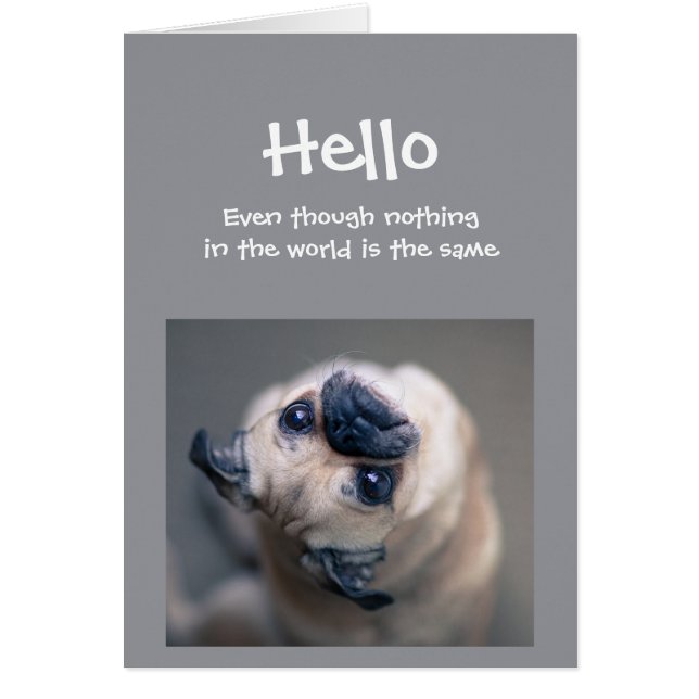 Funny Pug Dog Social Distancing Hello Hi (Front)