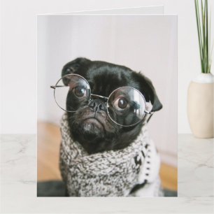 FUNNY PUG DOG THINKING OF YOU GREETING CARDS