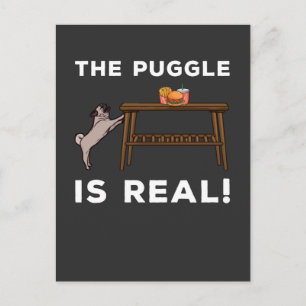 Funny Pug Hungry Dog Pun Fast Food Struggle Postcard