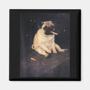 Funny pug smoking meme cigarette dog meme street magnet