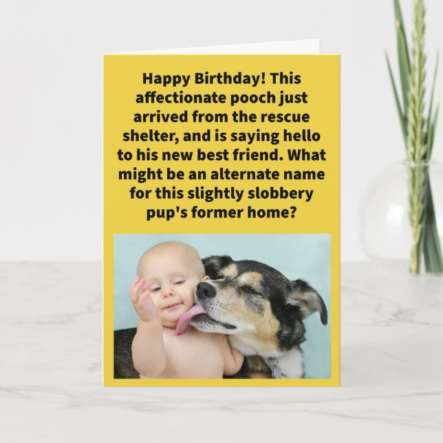 Funny Pun The Licker Store Happy Birthday Card (Front)