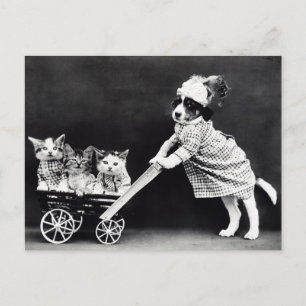 Funny Puppy and Kittens Postcard   Restored 