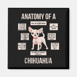Funny Puppy Gift Anatomy Of A Chihuahua  Magnet