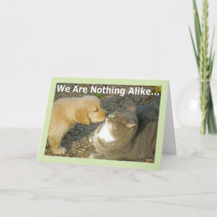 Funny Puppy, Kitty Love Romance Greeting Card