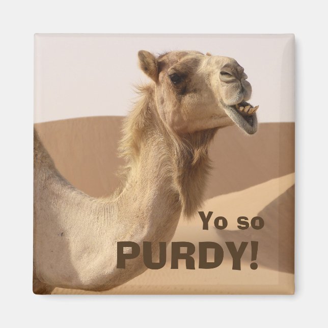 Funny Purdy Camel Photo Magnet (Front)