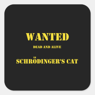 Funny Quantum Joke: Schrödinger’s Cat on the Loose Square Sticker