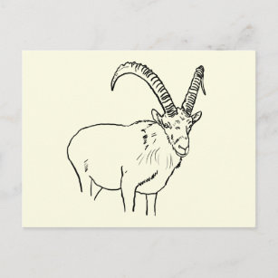 Cartoon Mountain Goat Postcards | Zazzle