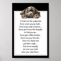 Funny Quote About Friends are Like Underwear