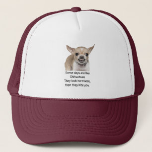 Funny Quote about Life with Chihuahua Dog Trucker Hat