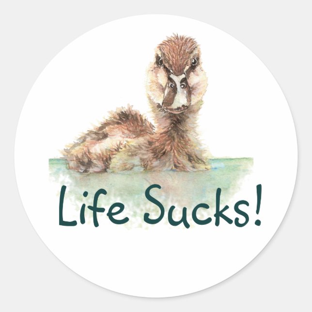 Funny Quote, Life Sucks, Angry Duck, Bird Square S Classic Round Sticker (Front)