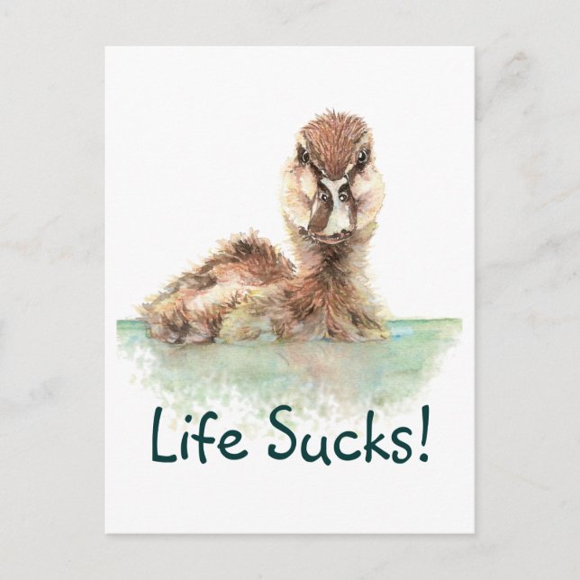 Funny Quote, Life Sucks, Angry Duck, Bird Square S Postcard (Front)