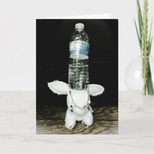 Funny Rabbit Birthday Card. Be eXtraordinary Card