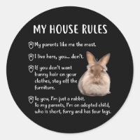 Funny Rabbit My House Rules Lionhead Bunny