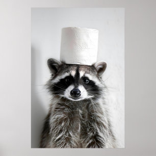 Funny Raccoon Bathroom Wall Art, Cute Raccoon with Poster