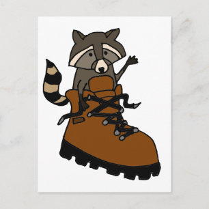 Funny Raccoon in Hiking Boot Postcard