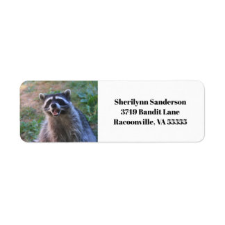 Funny Raccoon photo