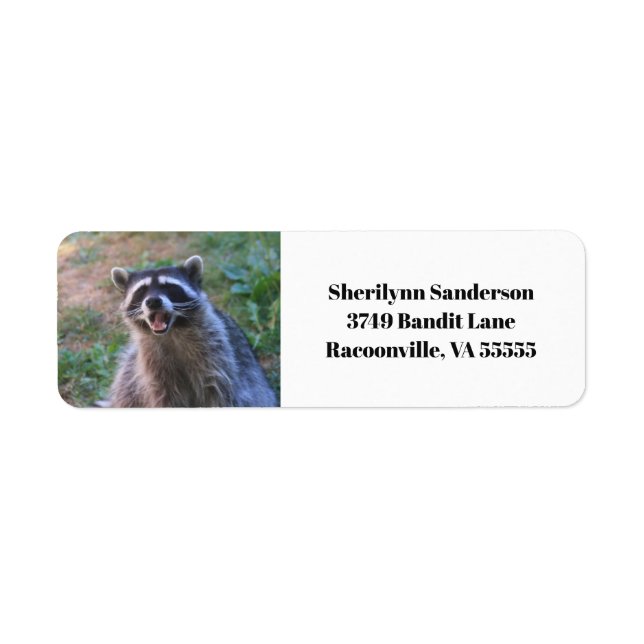 Funny Raccoon Photograph (Front)